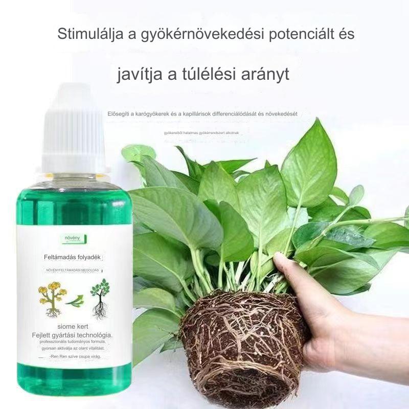 đ±đ±ă3 rĂ©szes kĂ©szletăNövĂ©ny- Ă©s virĂĄgaktivĂĄlĂł folyĂ©kony oldat