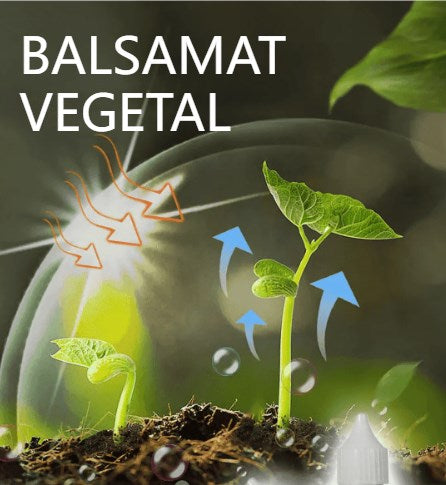 🌱🌱【3 részes készlet】Növény- és virágaktiváló folyékony oldat