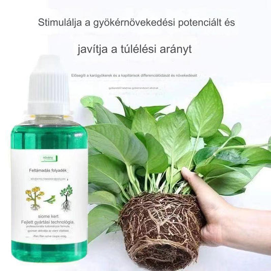 🌱🌱Növény- és virágaktiváló folyékony oldat